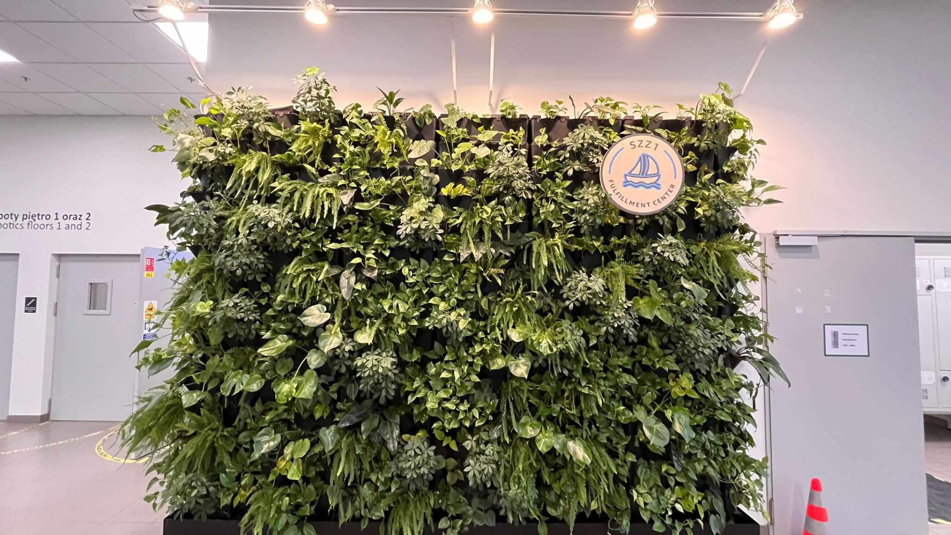 Kompozycja zielona dla klienta indywidualnego Jaworzno - nowoczesny design