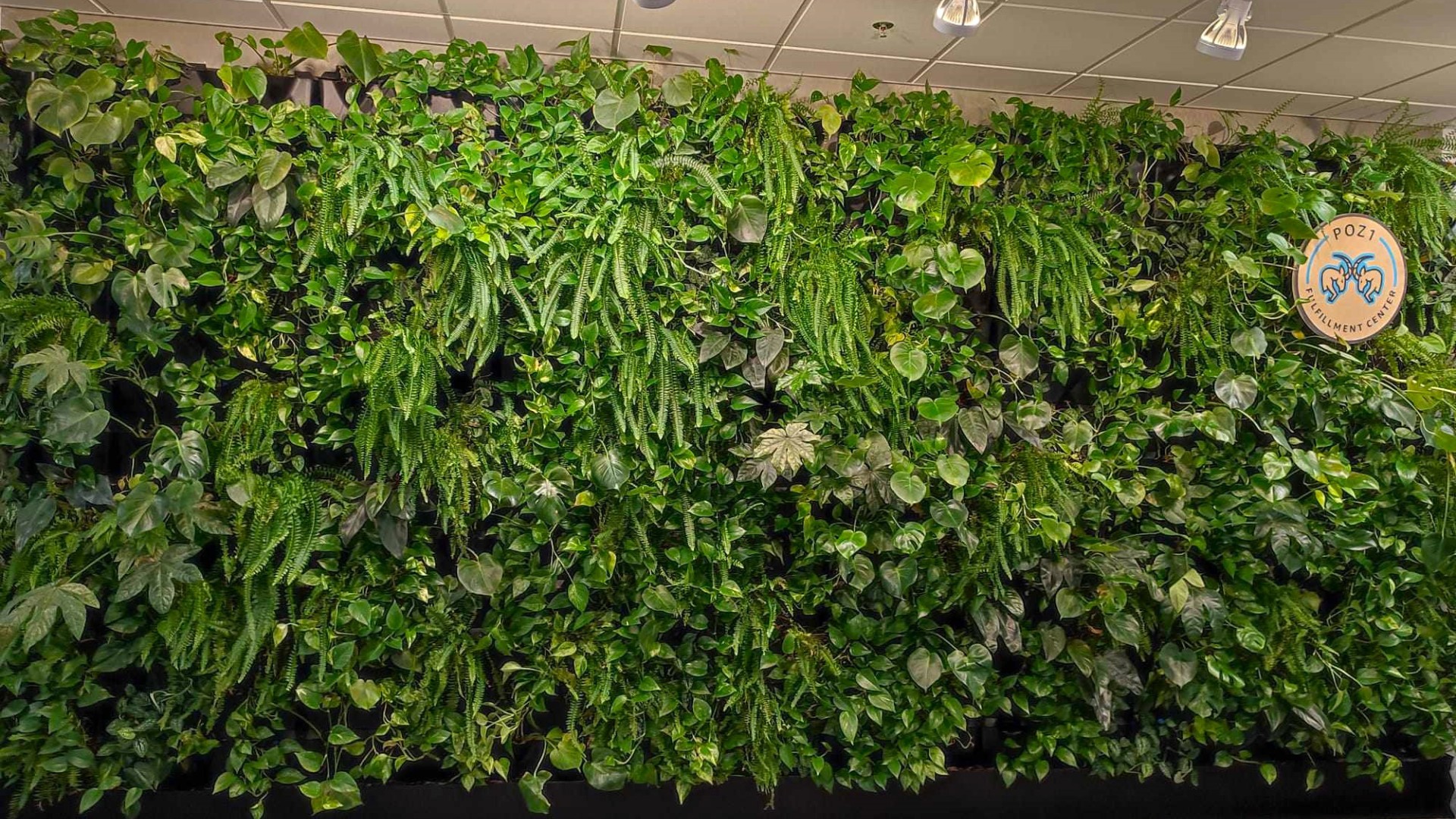 Ogród wertykalny Amazon Gliwice - profesjonalna instalacja zielonej ściany