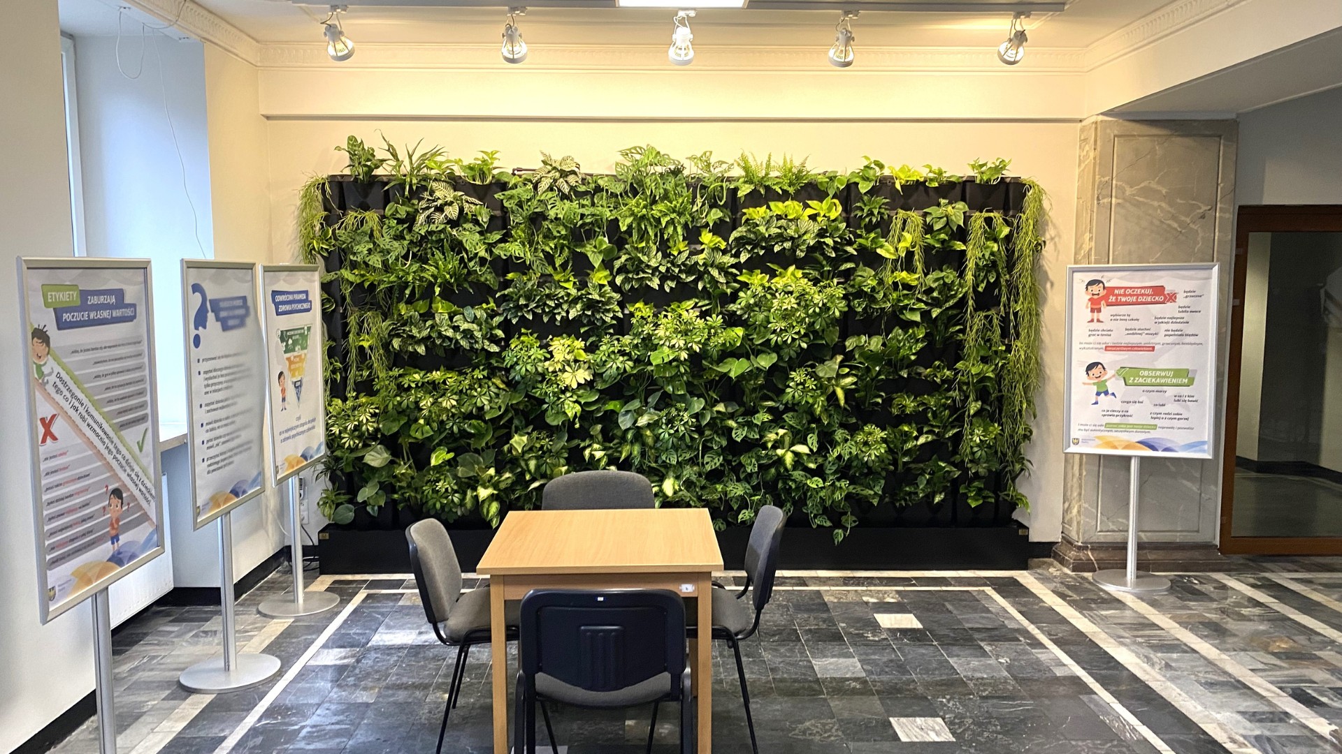 Ogród wertykalny Amazon KTW4 Sosnowiec - biurowe rozwiązanie z zieloną ścianą