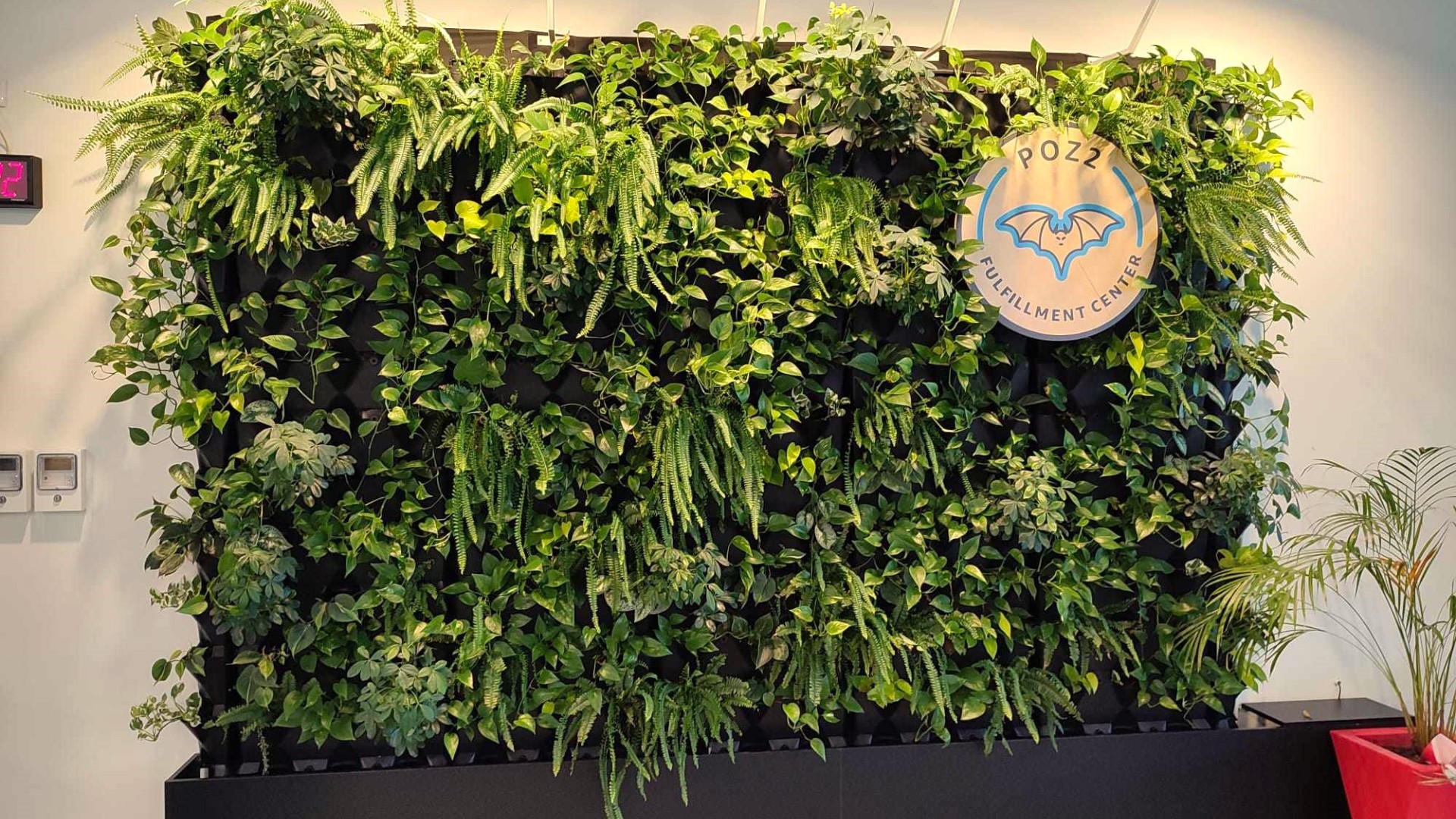 Ogród wertykalny Amazon Wrocław - elegancka instalacja