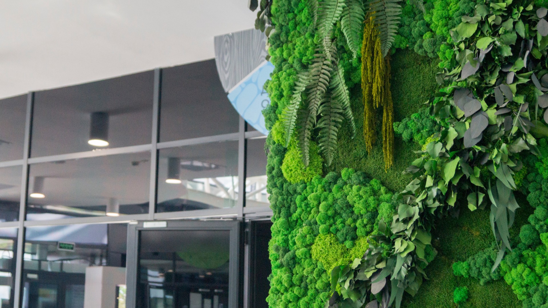 Ogród wertykalny w apartamencie Dąbrowa Górnicza - elegancka aranżacja mieszkania