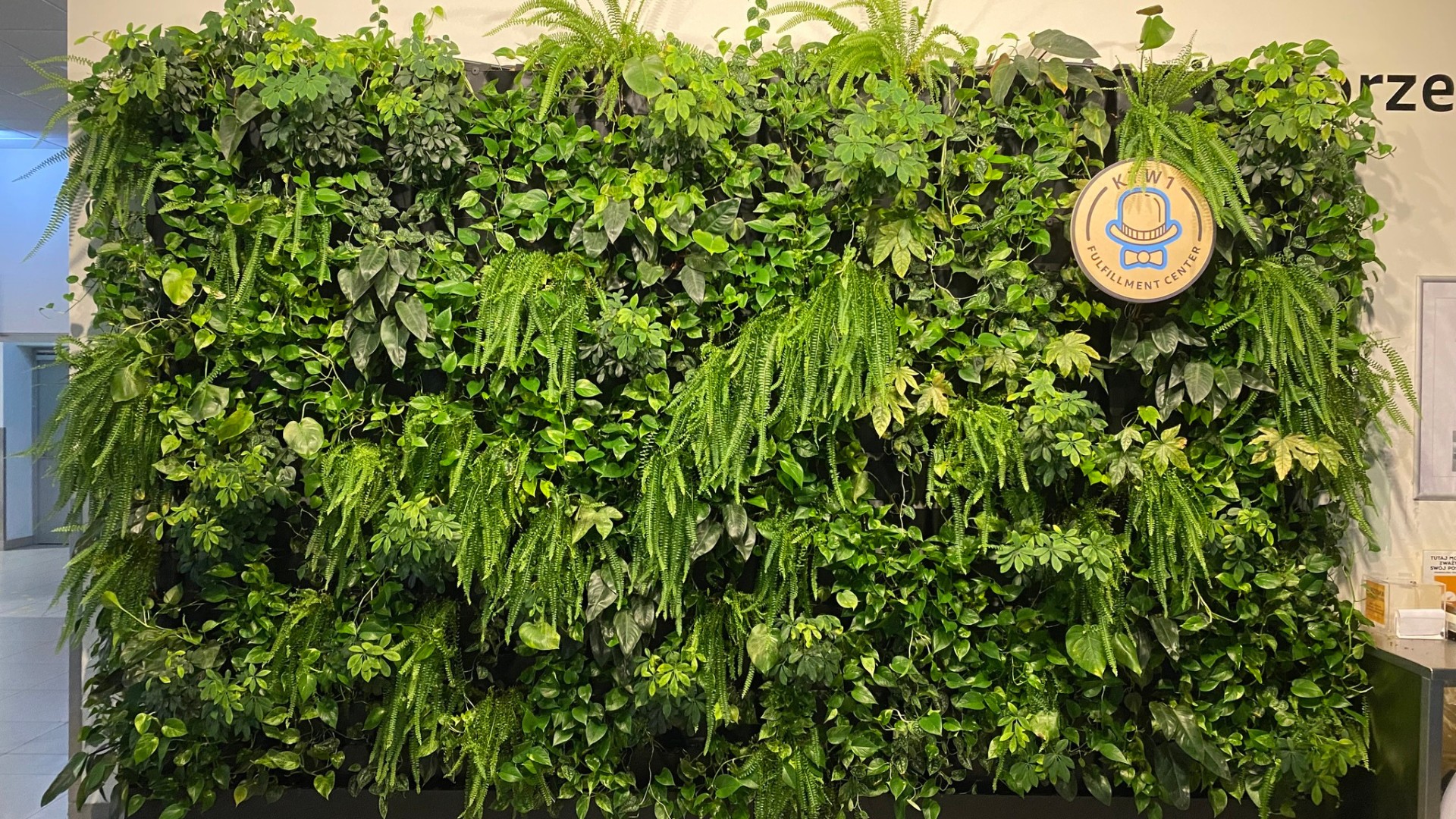 Ogród wertykalny Katowice - nowoczesna instalacja zielonej ściany