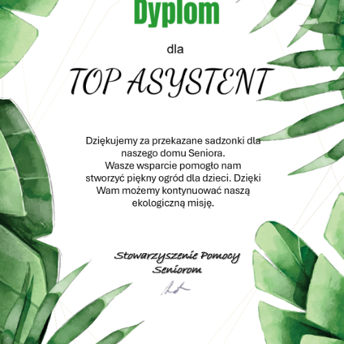 Certyfikat - projekt