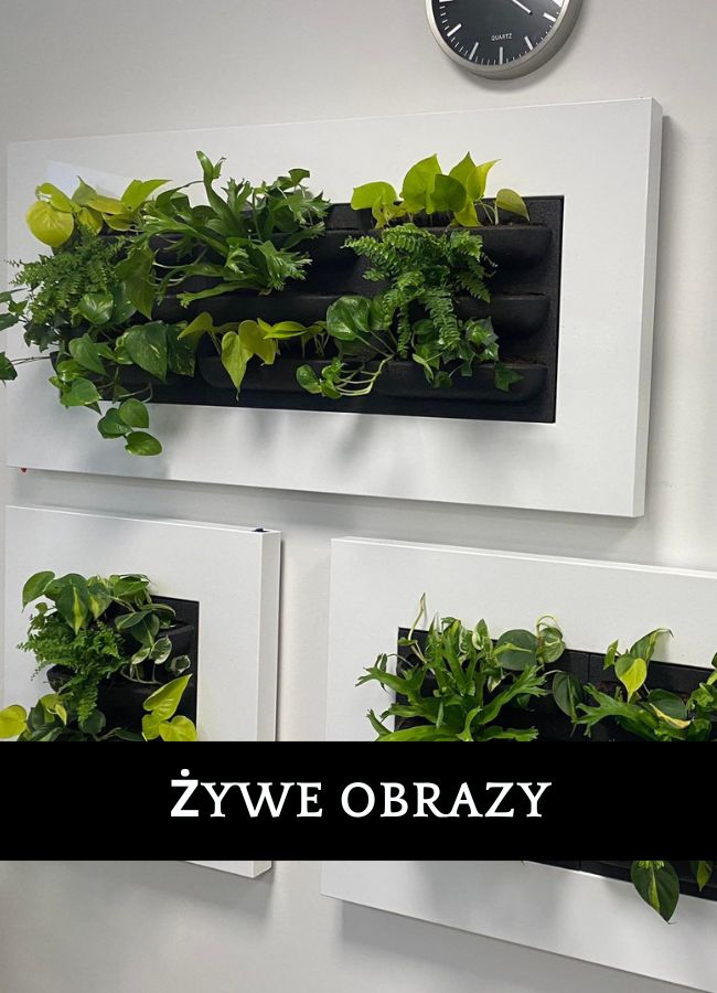 Ogród wertykalny w restauracji Wolbrom - profesjonalna instalacja zielonych ścian