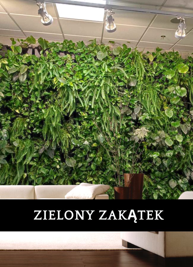 Kompozycja z mchu dla klienta indywidualnego Tychy - unikalna dekoracja ścienna