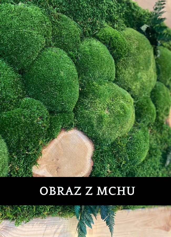 Ogród wertykalny Amazon Gliwice - profesjonalna instalacja zielonej ściany