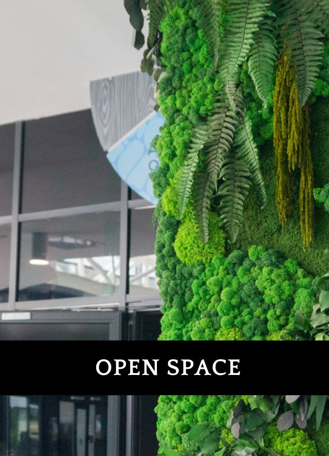 Kompozycja zielona dla klienta indywidualnego Jaworzno - nowoczesny design