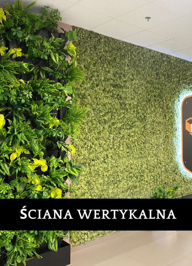 Ściana z mchu Amazon Wrocław - ekologiczne rozwiązanie biurowe