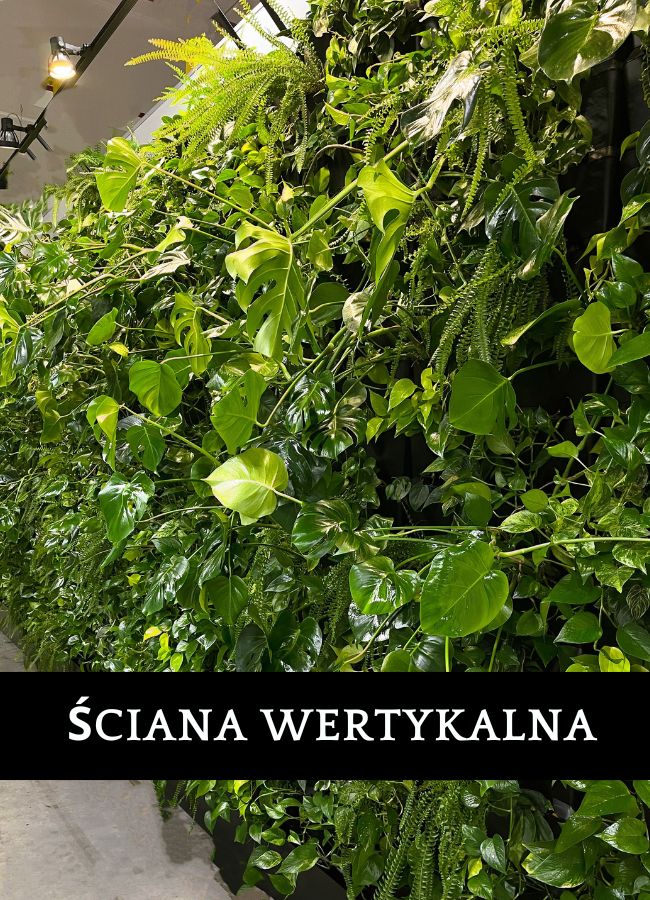 Ogród wertykalny Amazon LCJ2 Pawlikowice - profesjonalna instalacja