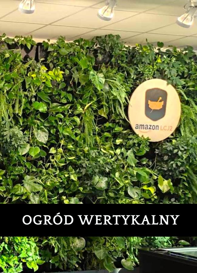 Zielona ściana Amazon WRO5 Okmiany - profesjonalna instalacja