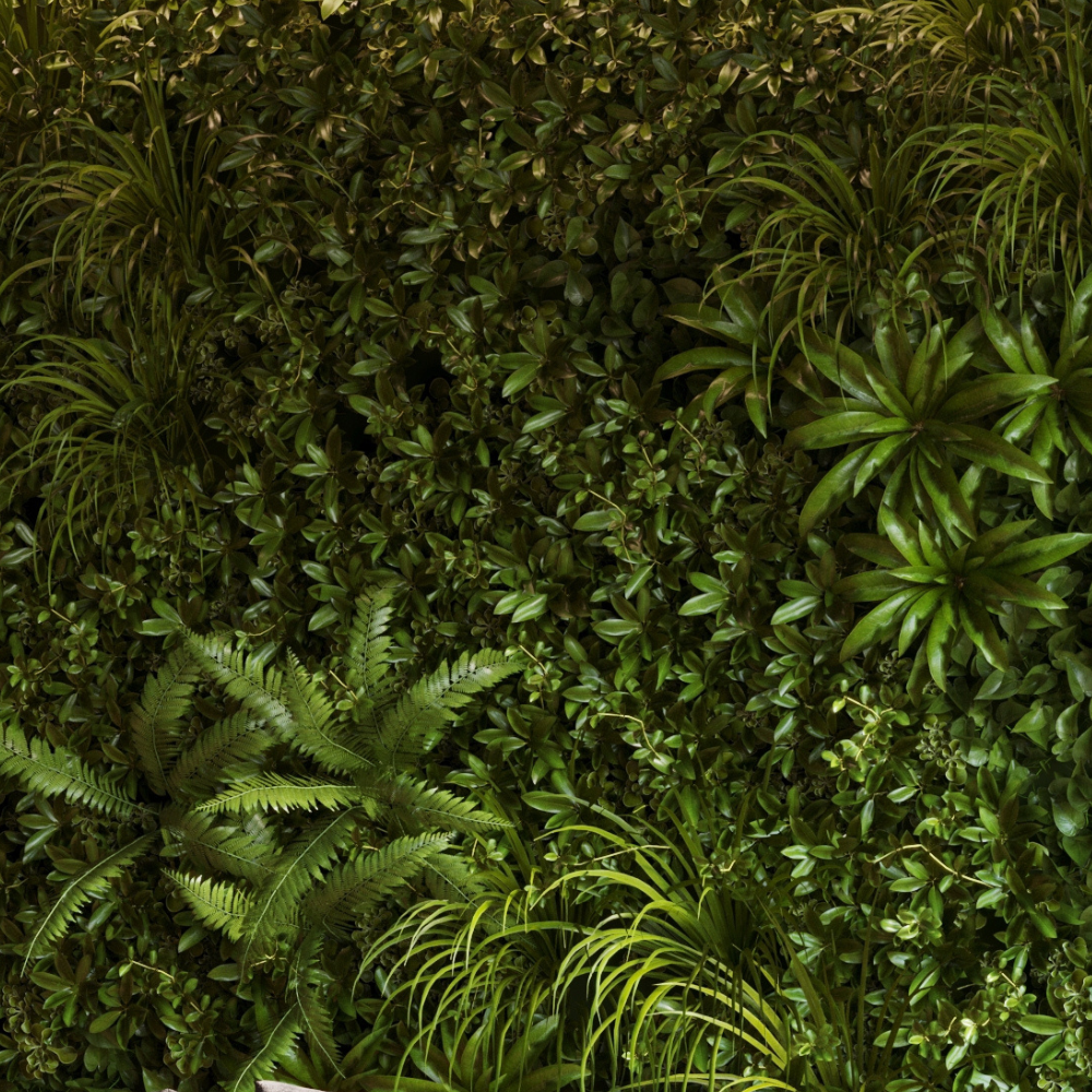 Serwis ogrodów wertykalnych