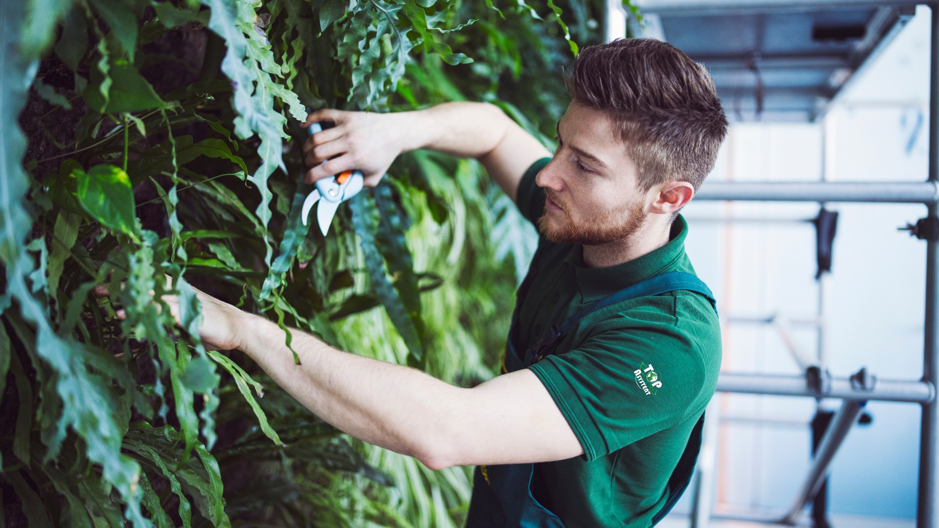 Serwisowanie ogrodów wertykalnych