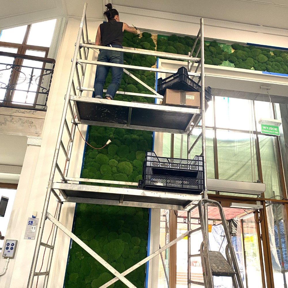 Serwis ogrodów wertykalnych - realizacja
