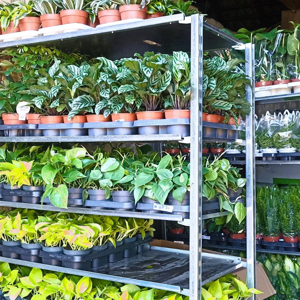 Serwis ogrodów - przykład